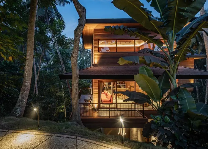 Bird Bali